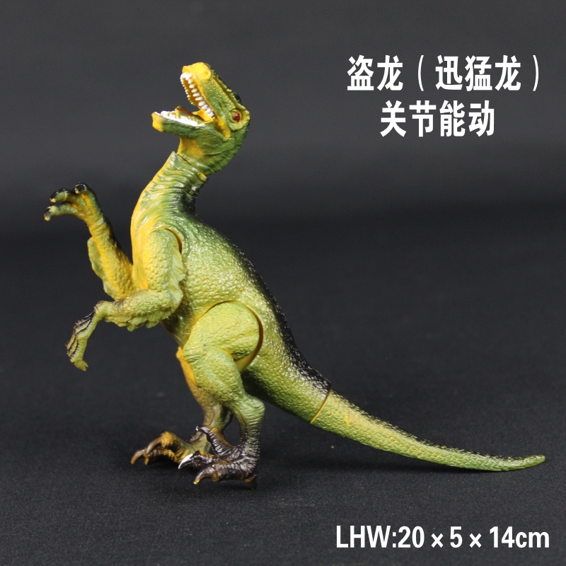 中迅猛龙