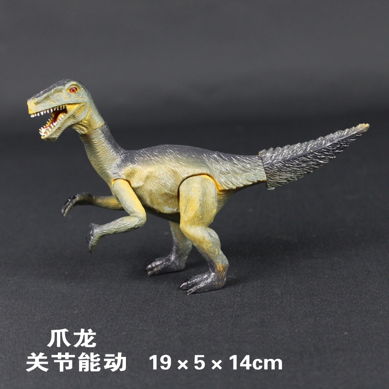 中赖爪龙