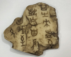 甲骨文（兽骨）