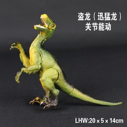 [p2189] 中迅猛龙